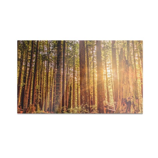 Szklana deska do krojenia HOMEPRINT Zachód słońca w lesie 60x52 cm HOMEPRINT