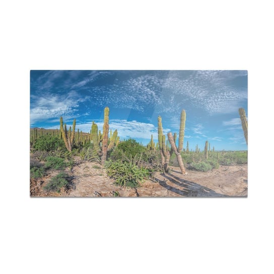 Szklana deska kuchenna HOMEPRINT Kaktusy na pustyni 60x52 cm HOMEPRINT