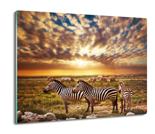 szklana deska splashback Zebry niebo słońce 60x52, ArtprintCave ArtPrintCave
