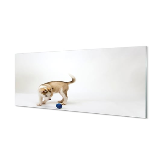 Szklana grafika TULUP Bawiący się pies, 125x50 cm Tulup