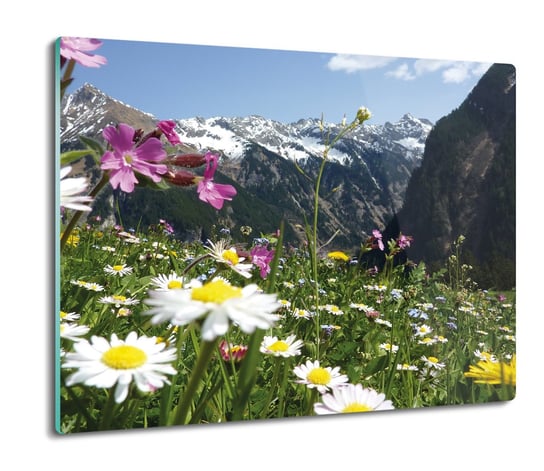 szklana osłona kuchenna Alpejska łąka góry 60x52, ArtprintCave ArtPrintCave