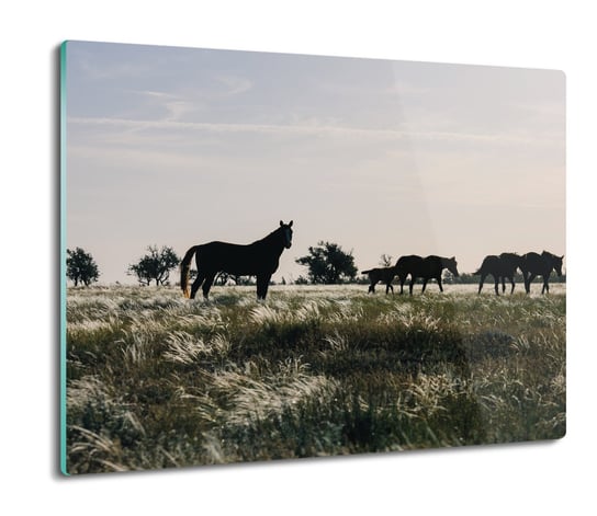 szklana osłona kuchenna Konie łąka natura 60x52, ArtprintCave ArtPrintCave