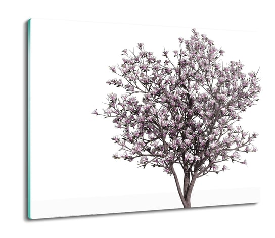 szklana osłona kuchenna Magnolia krzew kwiat 60x52, ArtprintCave ArtPrintCave