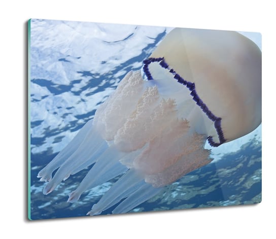 szklana osłona kuchenna Meduza morze ocean 60x52, ArtprintCave ArtPrintCave