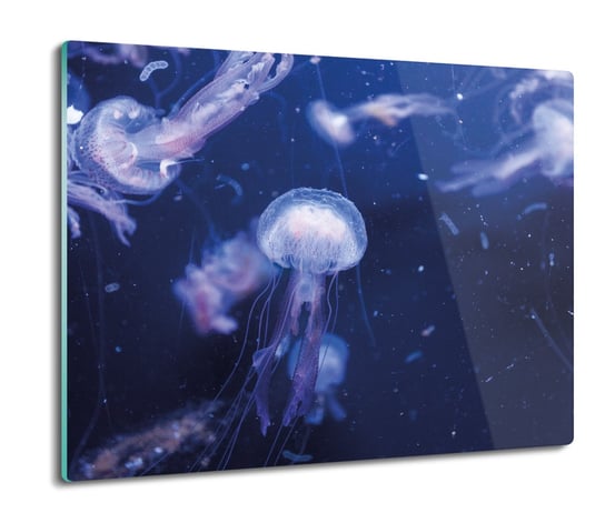 szklana osłona kuchenna Meduzy morze ocean 60x52, ArtprintCave ArtPrintCave
