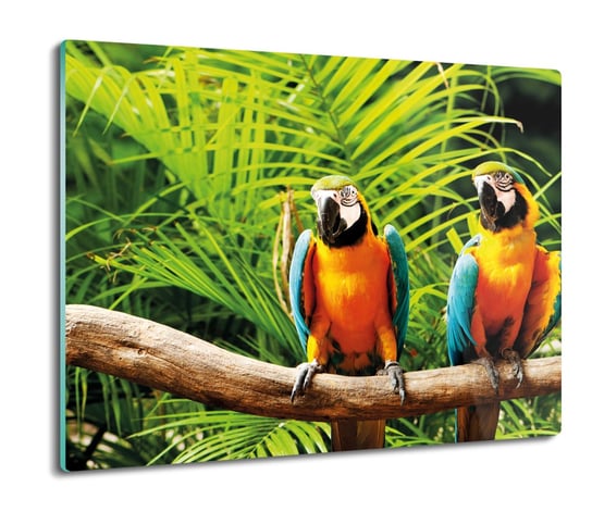 szklana osłona kuchenna Papugi ARA palmy 60x52, ArtprintCave ArtPrintCave
