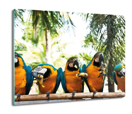 szklana osłona kuchenna Papugi ARA palmy 60x52, ArtprintCave ArtPrintCave