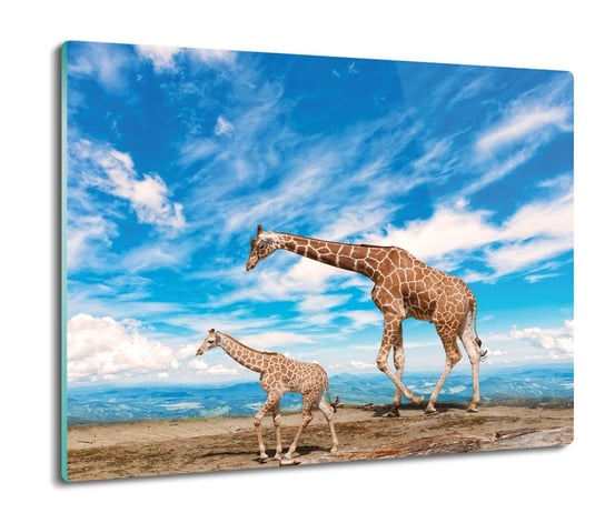szklana osłona kuchenna Żyrafy rodzina niebo 60x52, ArtprintCave ArtPrintCave