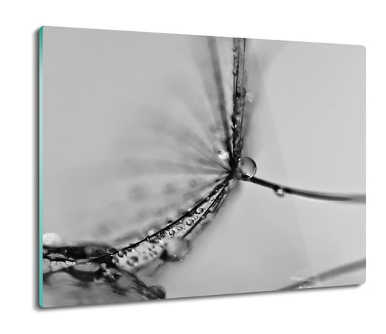szklana osłona na indukcję Dmuchawiec krople 60x52, ArtprintCave ArtPrintCave