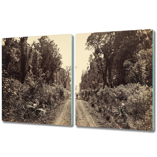 Szklana Osłona na indukcję i Do Krojenia - 2x 40x52 cm - Leśna droga Coloray