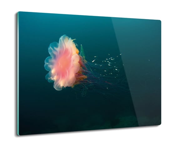 szklana osłona splashback Meduza ocean morze 60x52, ArtprintCave ArtPrintCave