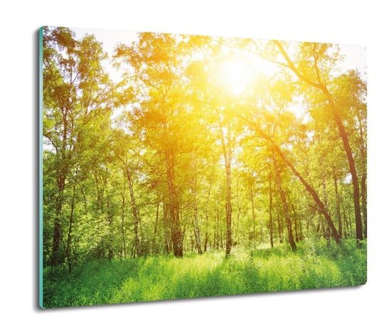 szklana osłonka kuchenna Drzewa słońce las 60x52, ArtprintCave ArtPrintCave