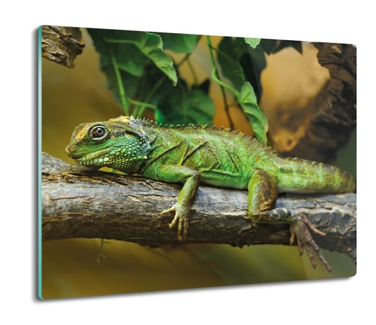 szklana osłonka kuchenna Kameleon drzewo gad 60x52, ArtprintCave ArtPrintCave