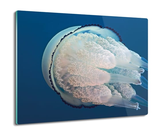 szklana osłonka z grafiką Meduza morze ocean 60x52, ArtprintCave ArtPrintCave