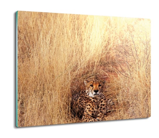 szklana osłonka z nadrukiem Gepard kot trawa 60x52, ArtprintCave ArtPrintCave