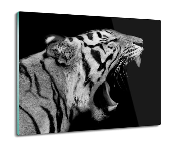 szklana splashback z grafiką Tygrys kot zęby 60x52, ArtprintCave ArtPrintCave
