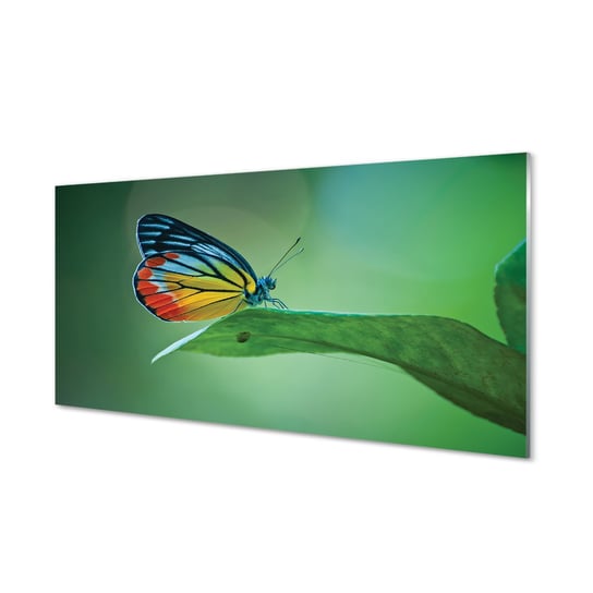 Szklany lacobel + klej Kolorowy motyl liść 120x60 Tulup