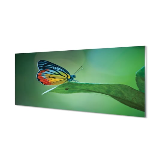 Szklany lacobel + klej Kolorowy motyl liść 125x50 cm Tulup