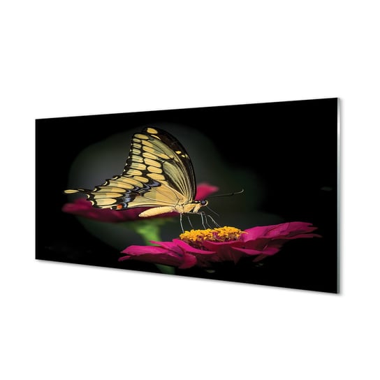 Szklany obraz TULUP grafika Motyl na kwiatku, 100x50 cm cm Tulup