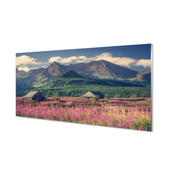 Szklany panel do kuchni Góry pola domki 120x60 cm Tulup
