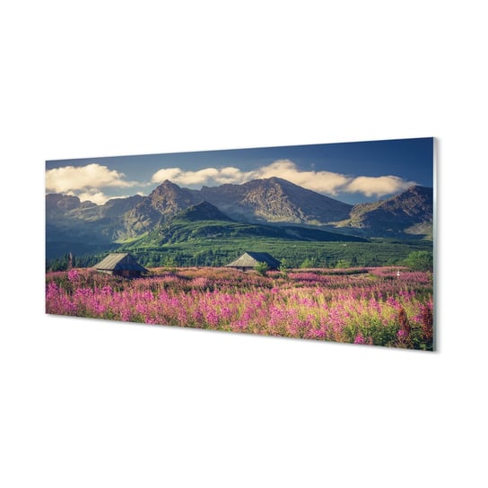Szklany panel do kuchni Góry pola domki 125x50 cm Tulup