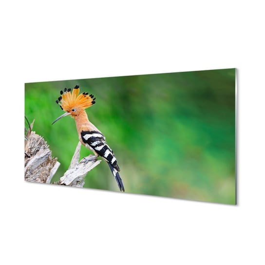Szklany panel + klej Drzewo kolorowa papuga 120x60 Tulup