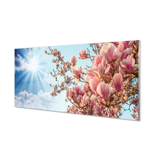 Szklany panel + klej Magnolia niebo słońce 120x60 Tulup