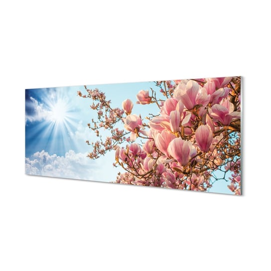 Szklany panel + klej Magnolia niebo słońce 125x50 cm Tulup
