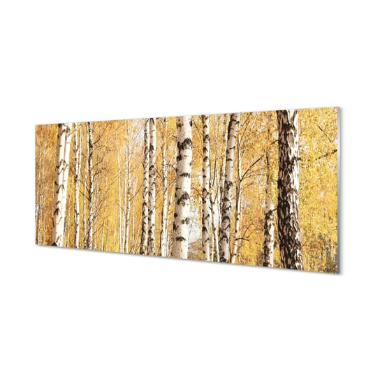 Szklany panel kuchenny + klej Jesień drzewa 125x50 cm Tulup