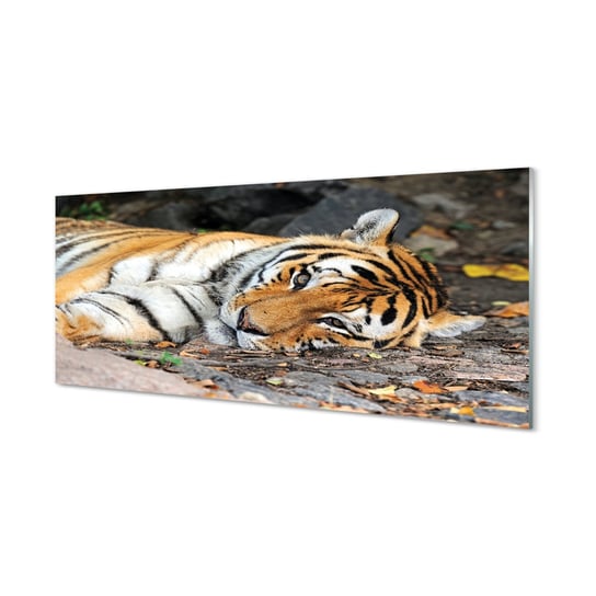 Szklany panel kuchenny + klej Leżący tygrys 125x50 cm Tulup