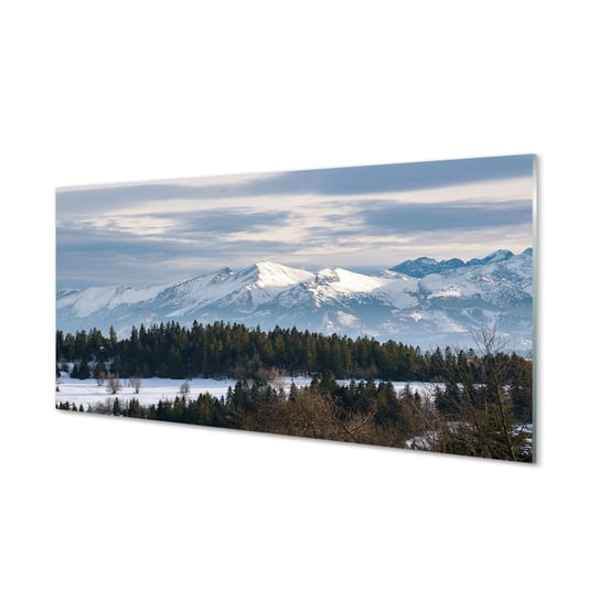 Szklany panel ochronny Góry zima śnieg 120x60 cm Tulup