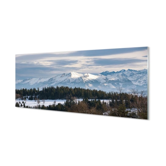 Szklany panel ochronny Góry zima śnieg 125x50 cm Tulup