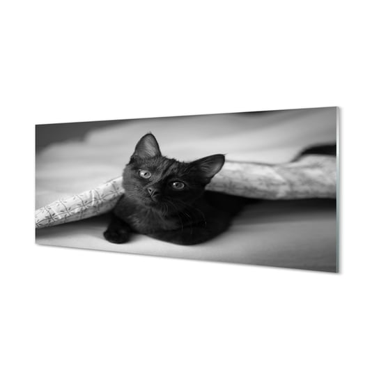 Szklany panel ścienny + klej Kot pod kołdrą 125x50 cm Tulup