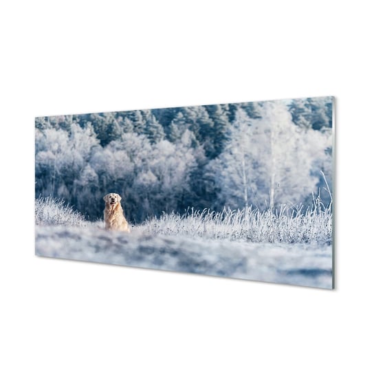 Szklany panel ścienny + klej Pies góry zima 120x60 Tulup