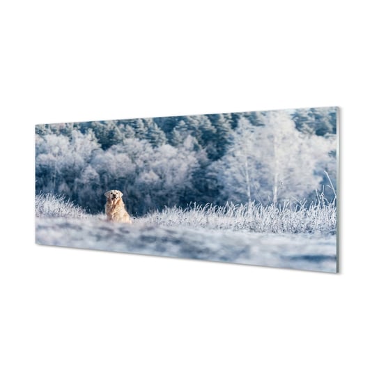 Szklany panel ścienny + klej Pies góry zima 125x50 cm Tulup