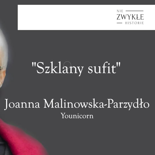 Szklany sufit - rozmowa z Joanną Malinowską - Parzydło z firmy Younicorn - Zwykłe historie - podcast Poznański Karol