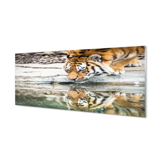 Szkło bezpieczne panel + klej Pijący tygrys 125x50 cm Tulup