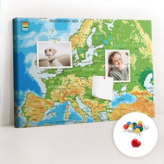 Szkolna Tablica korkowa 60x40 cm, Kolorowe Pinezki, wzór Geografia Mapa Świata Coloray