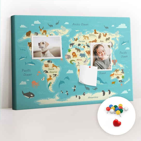 Szkolna Tablica korkowa 60x40 cm, Kolorowe Pinezki, wzór Mapa świata zwierząt Coloray