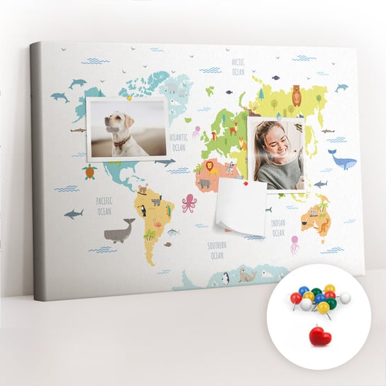 Szkolna Tablica korkowa 60x40 cm, Kolorowe Pinezki, wzór Mapa świata zwierząt Coloray