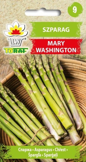 Szparag Mary Washington
Asparagus Officinalis L. Toraf