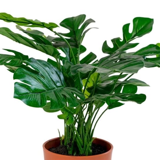 Sztuczna Monstera Deliciosa 45 cm Inna marka