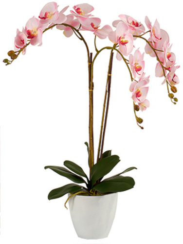 sztuczna orchidea 88 x 60 cm jasnoróżowa/biała TWM