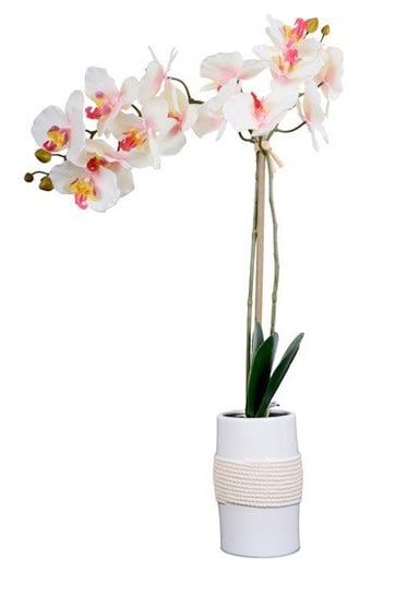 Sztuczna orchidea w doniczce, kremowa, 11x17 cm 