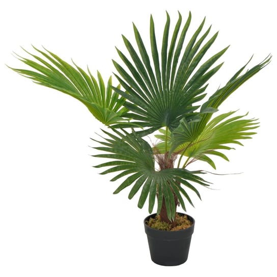 Sztuczna palma z doniczką VIDAXL, zielony, 70 cm vidaXL