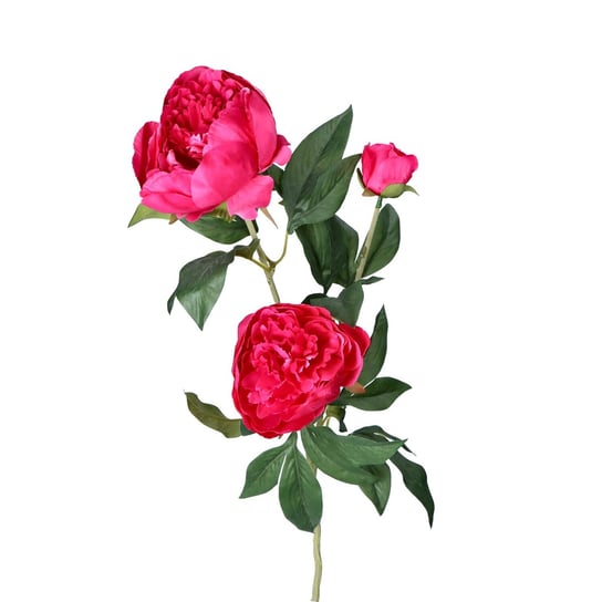 Sztuczna piwonia gałązka fuksja 3 kwiaty z liśćmi ABC