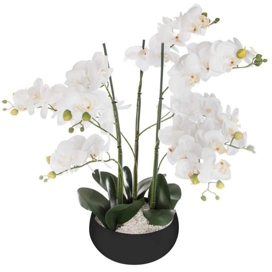 Sztuczna roślina ATMOSPHERA Orchidee, czarna, 65 cm Atmosphera
