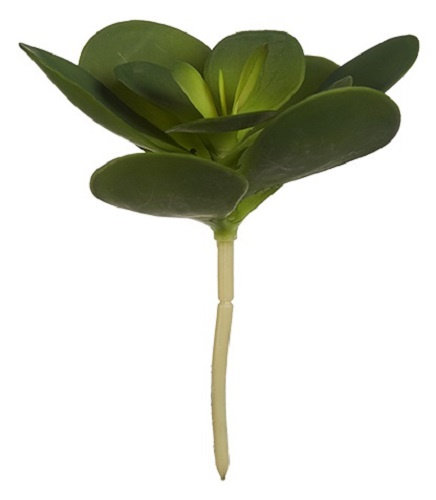 sztuczna roślina Hoja Redonda 14 x 25 cm zielona TWM