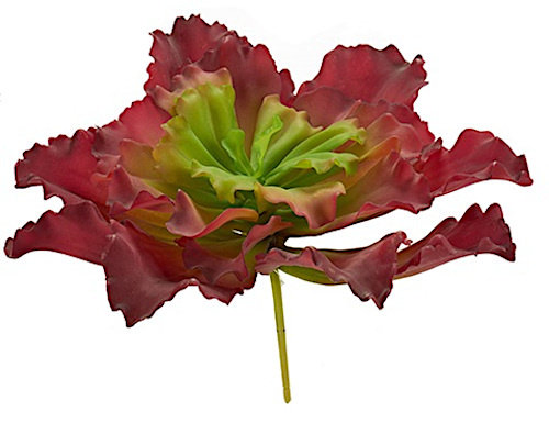 sztuczna roślina Kool 31 x 24 cm czerwony/zielony TWM