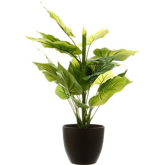 Sztuczna Roślina Ozdobna, 45 Cm, Naturalna W Dotyku Atmosphera
